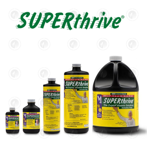 Benchmark Bioponics: Superthrive Nutrients